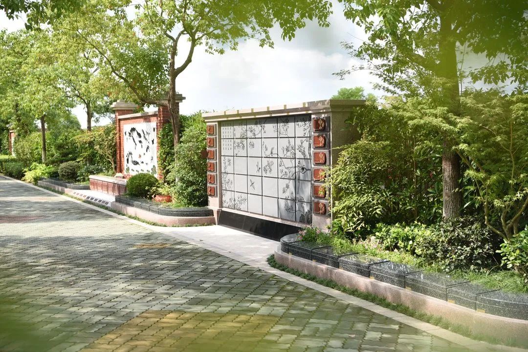 抖圈-为du而生官网入口