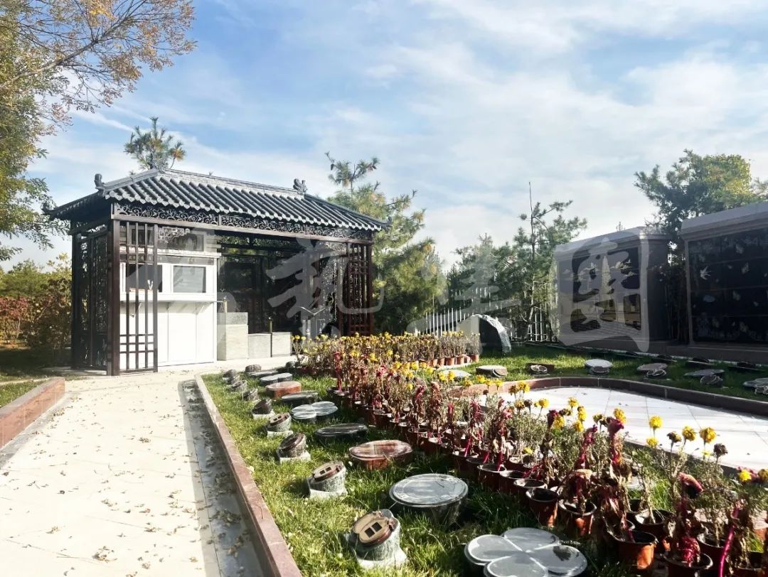 抖圈-为du而生官网入口