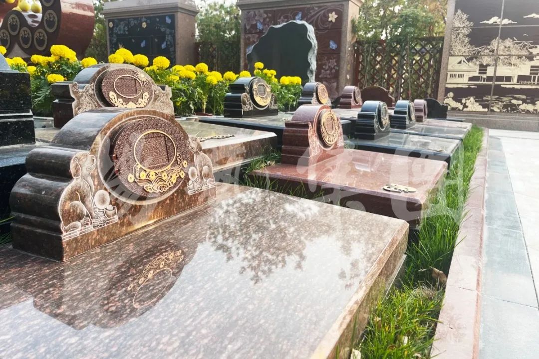 抖圈-为du而生官网入口