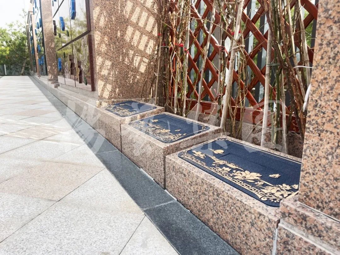 抖圈-为du而生官网入口