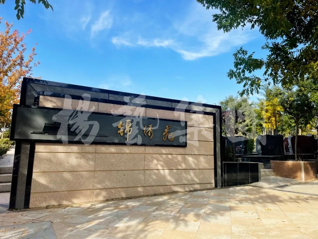 抖圈-为du而生官网入口