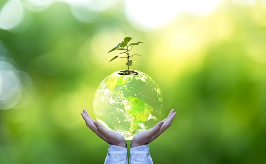 抖圈-为du而生官网入口