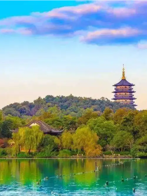 抖圈-为du而生官网入口