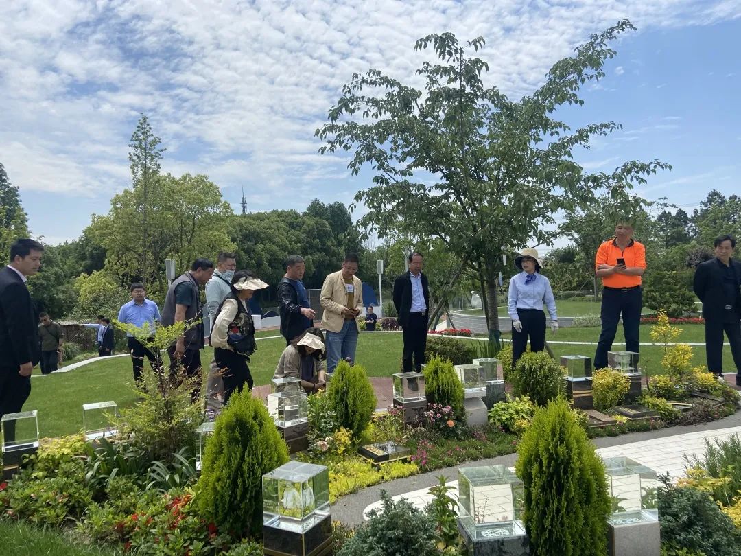 抖圈-为du而生官网入口