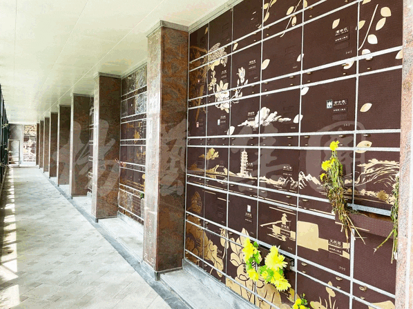 抖圈-为du而生官网入口