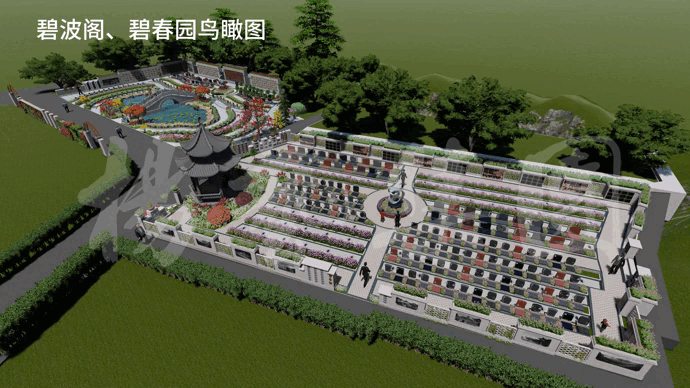 抖圈-为du而生官网入口