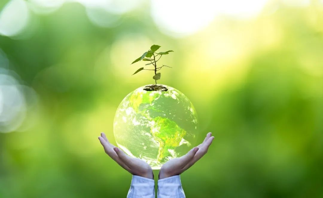 抖圈-为du而生官网入口