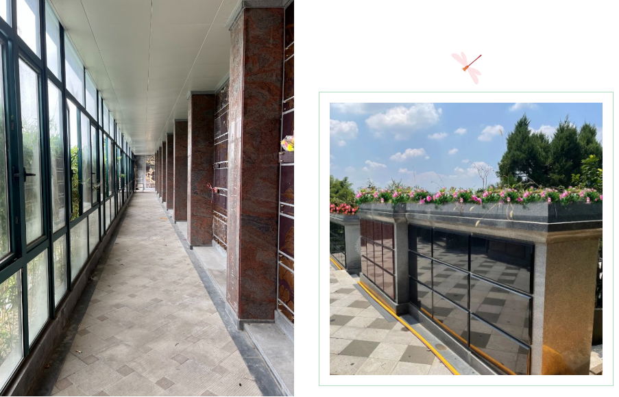 抖圈-为du而生官网入口