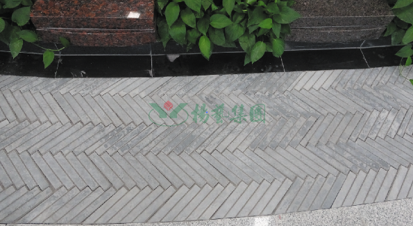 抖圈-为du而生官网入口