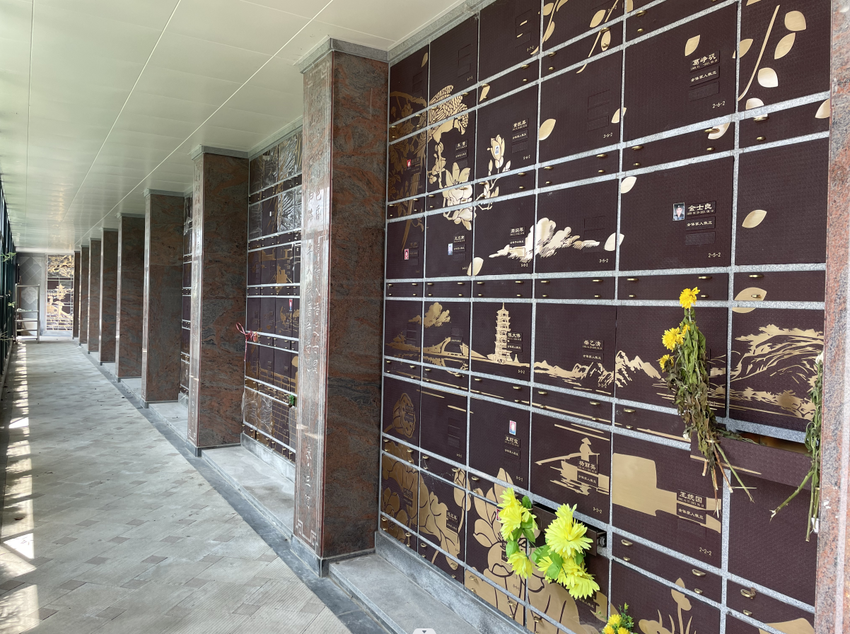 抖圈-为du而生官网入口