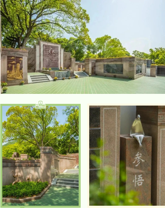 抖圈-为du而生官网入口