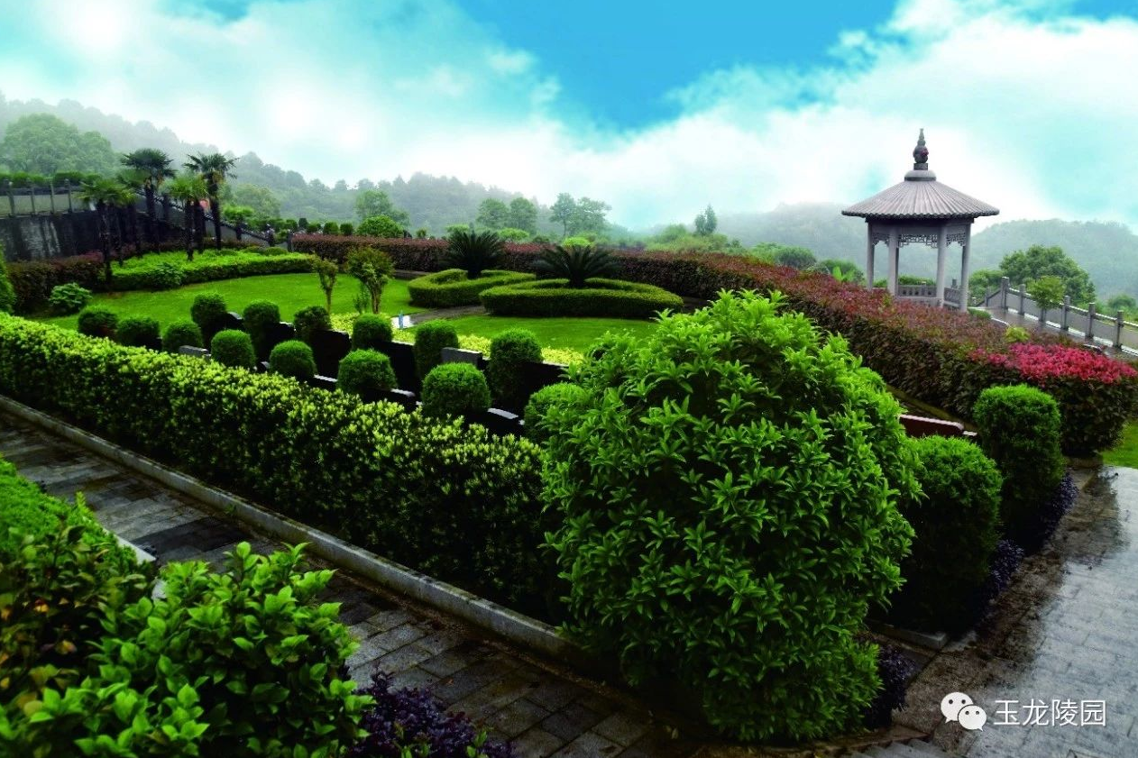 抖圈-为du而生官网入口