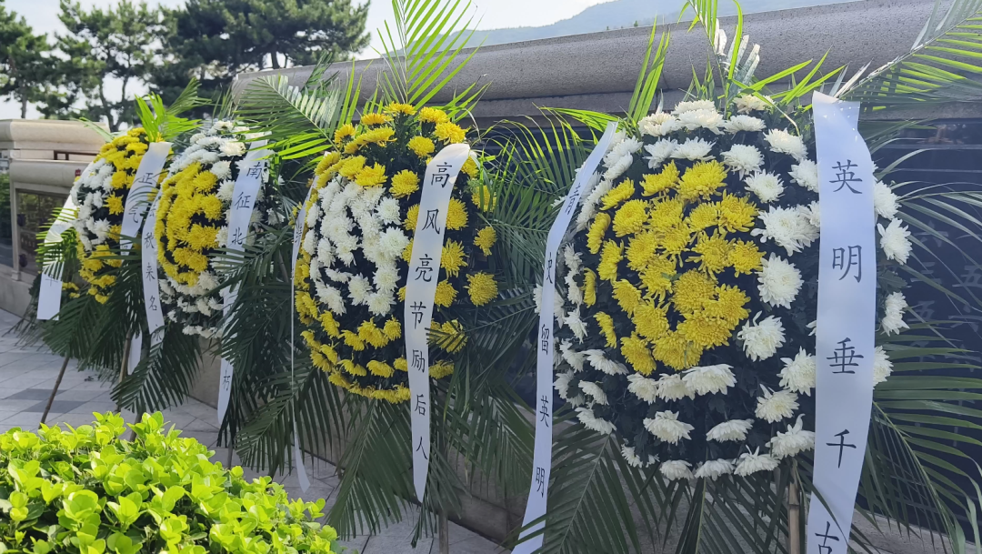 抖圈-为du而生官网入口