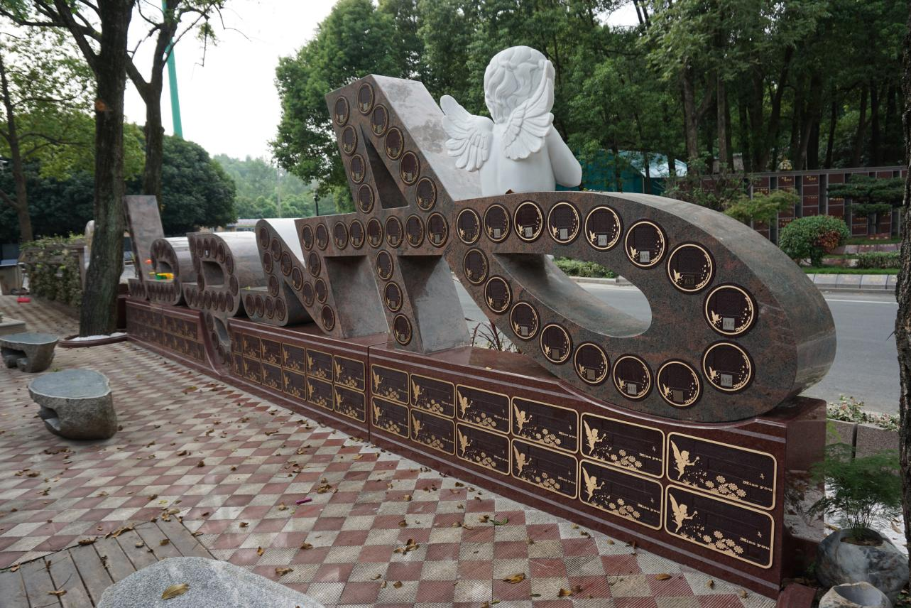 抖圈-为du而生官网入口