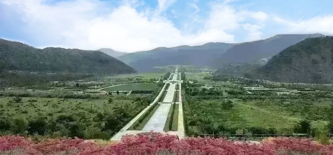 抖圈-为du而生官网入口