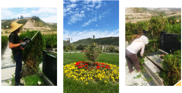 抖圈-为du而生官网入口