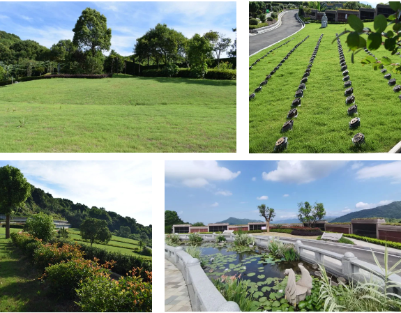 抖圈-为du而生官网入口