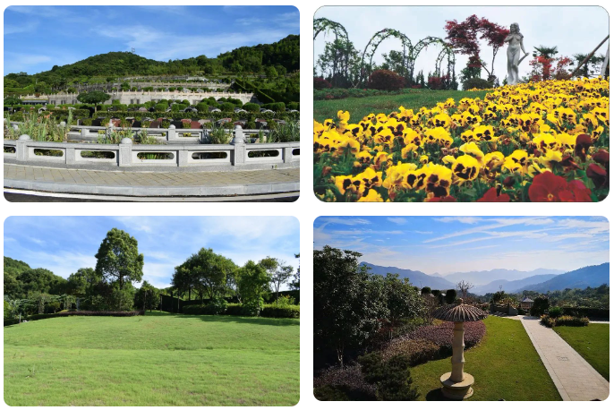 抖圈-为du而生官网入口