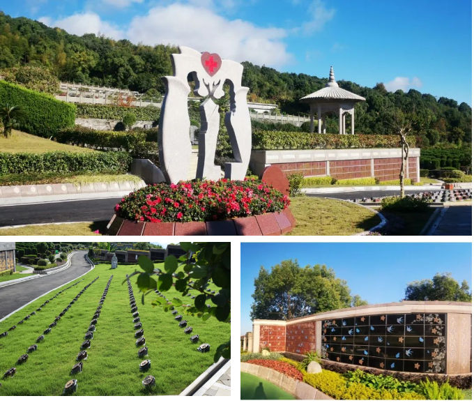 抖圈-为du而生官网入口