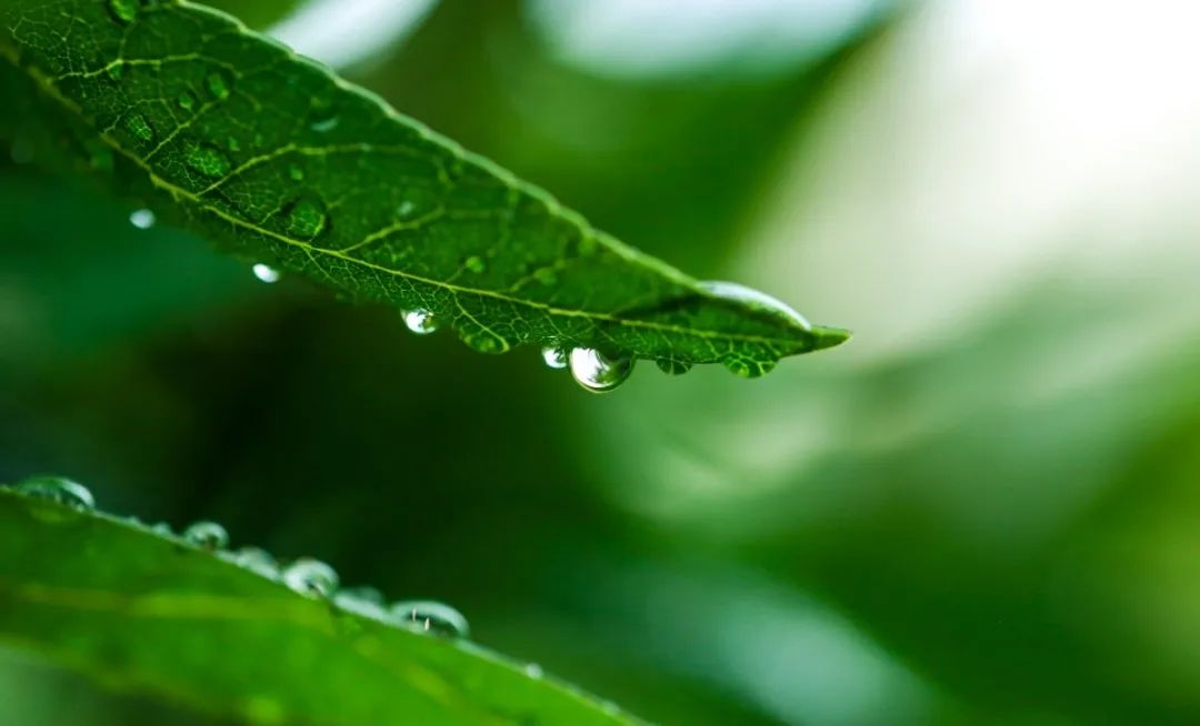 抖圈-为du而生官网入口