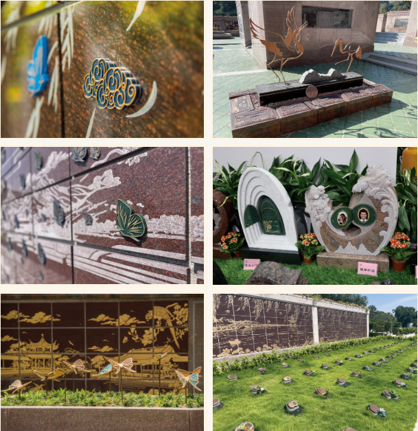 抖圈-为du而生官网入口