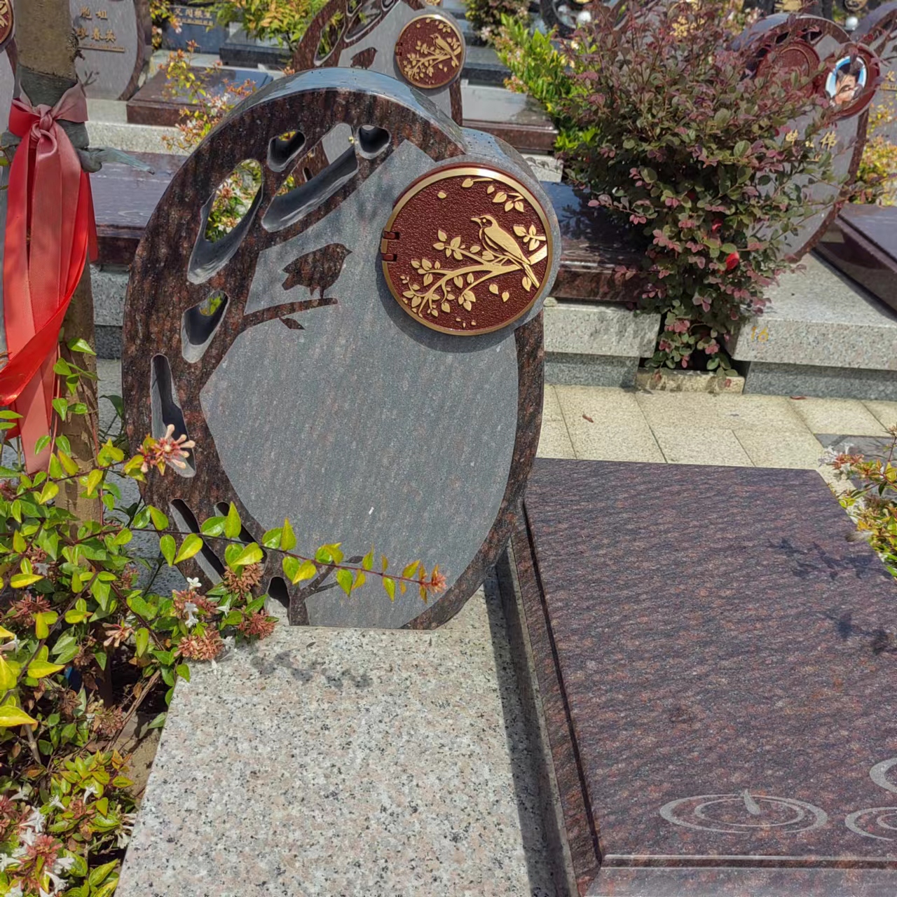 抖圈-为du而生官网入口