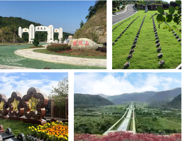 抖圈-为du而生官网入口