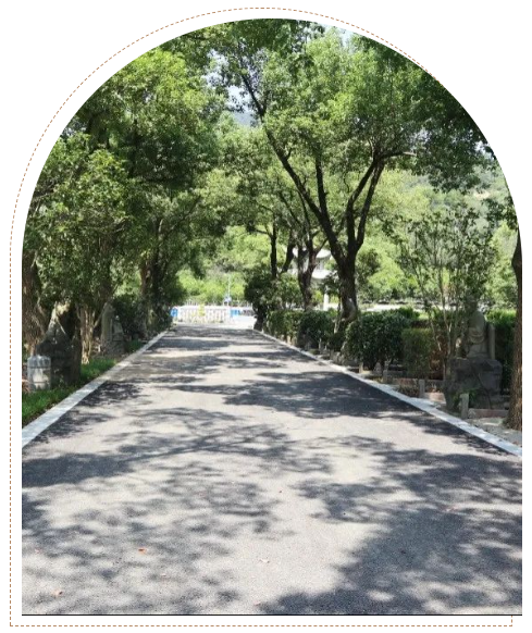 抖圈-为du而生官网入口