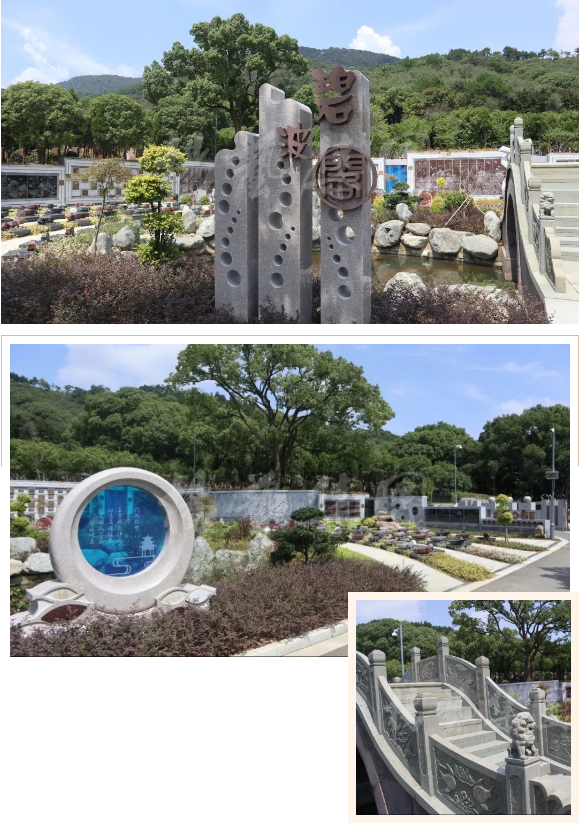 抖圈-为du而生官网入口