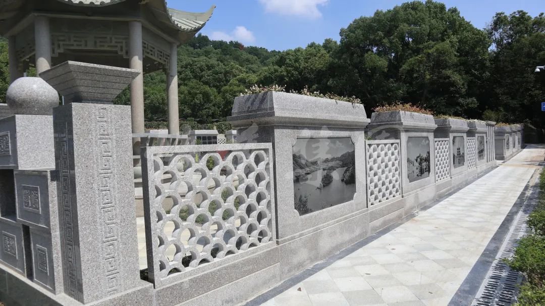 抖圈-为du而生官网入口