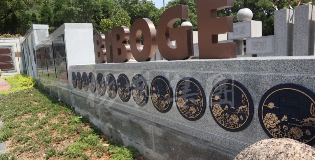 抖圈-为du而生官网入口