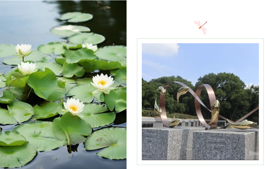 抖圈-为du而生官网入口