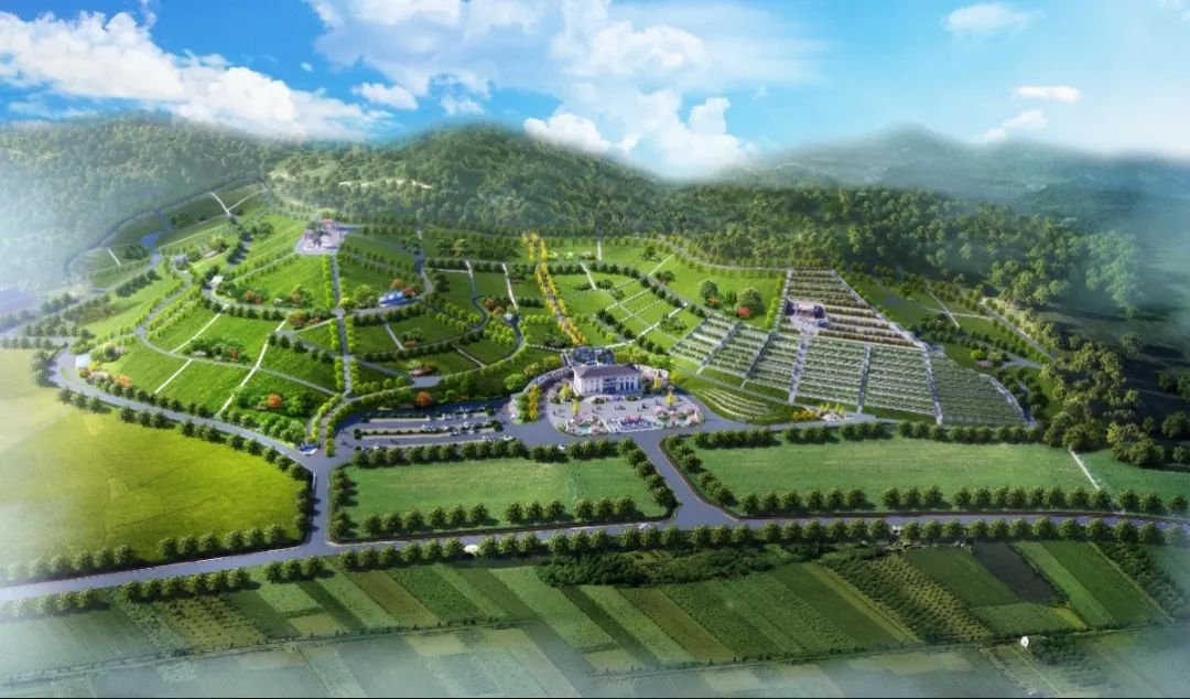 抖圈-为du而生官网入口