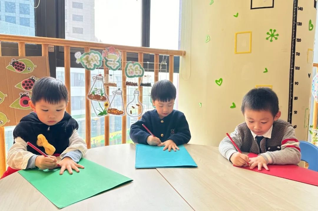 抖圈-为du而生官网入口