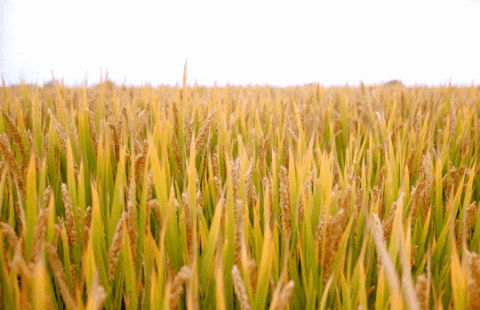 抖圈-为du而生官网入口