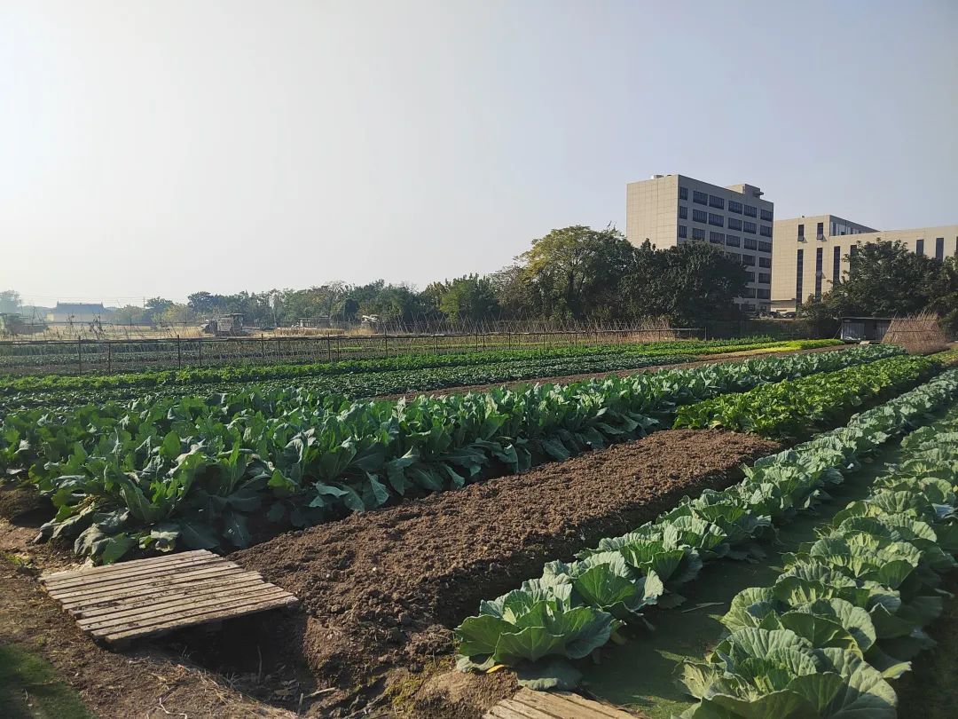 抖圈-为du而生官网入口