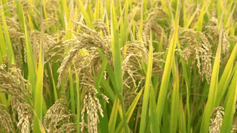 抖圈-为du而生官网入口