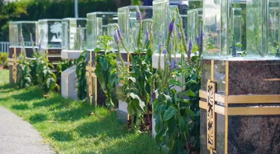 抖圈-为du而生官网入口