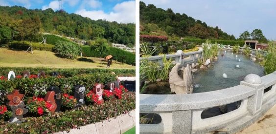 抖圈-为du而生官网入口