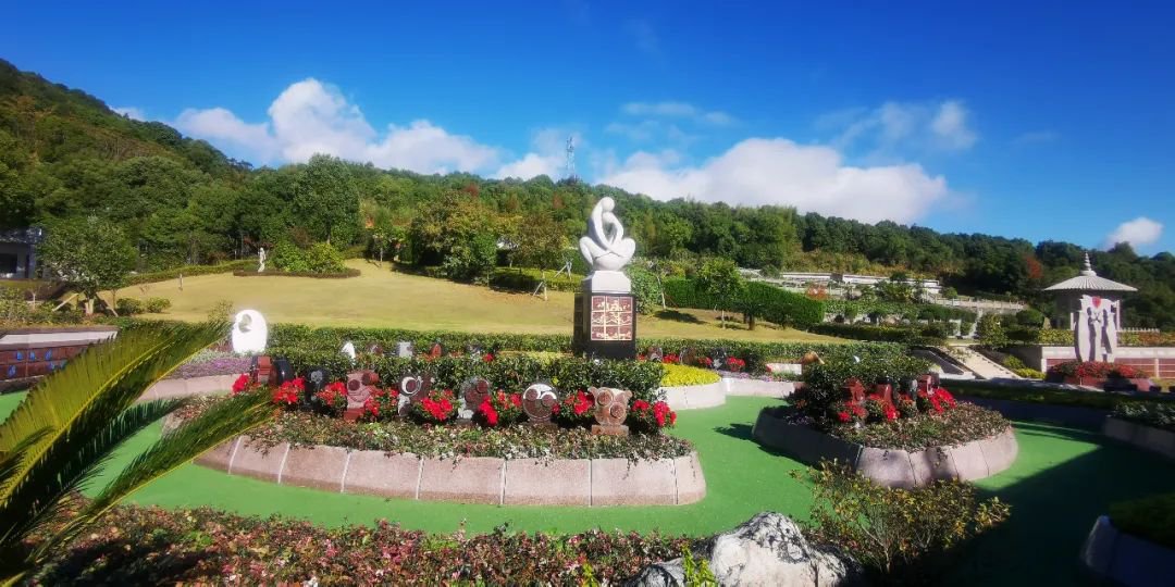 抖圈-为du而生官网入口