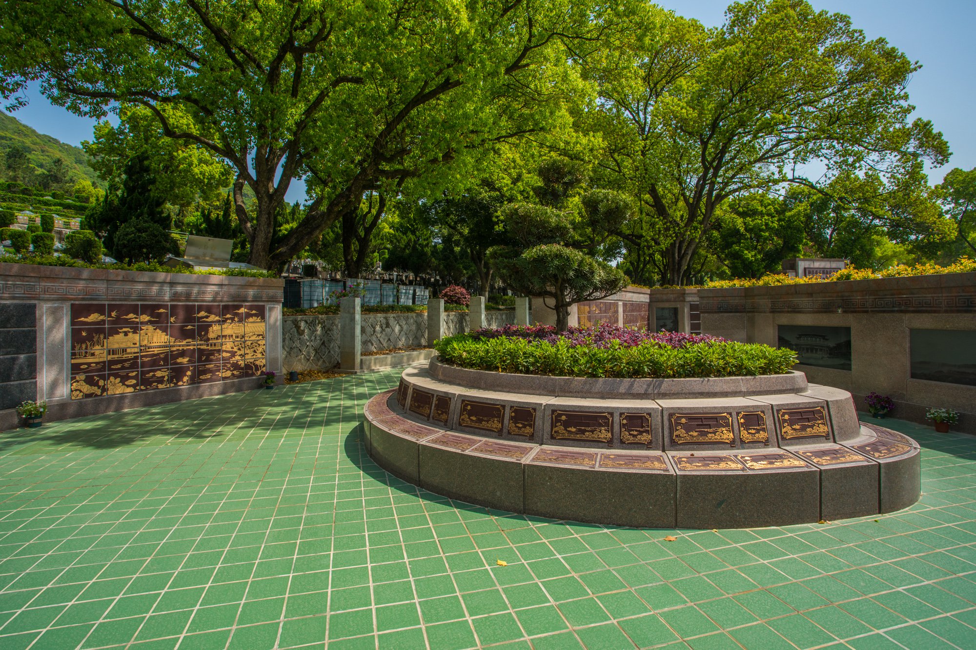 抖圈-为du而生官网入口