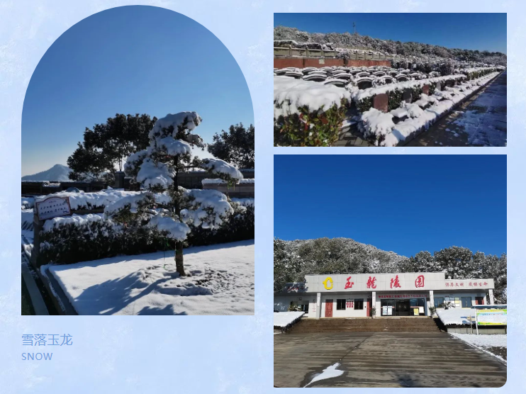 抖圈-为du而生官网入口