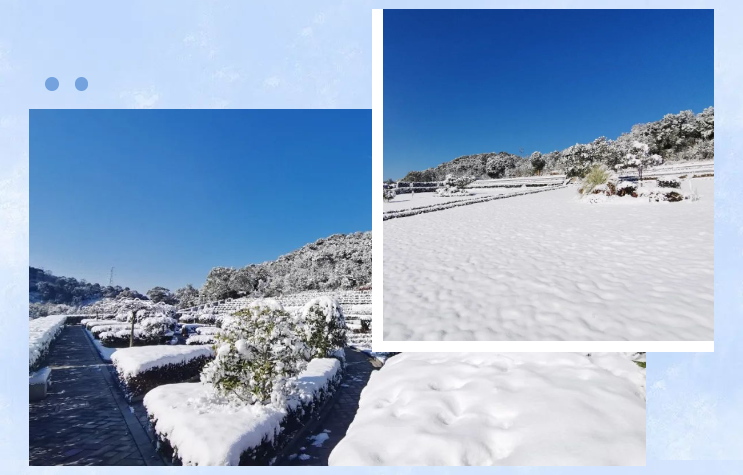 抖圈-为du而生官网入口