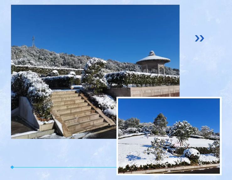 抖圈-为du而生官网入口