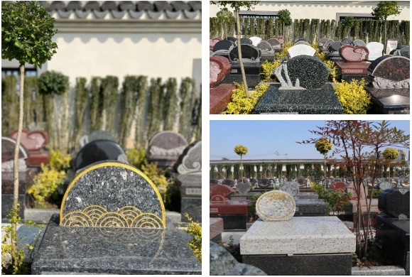 抖圈-为du而生官网入口