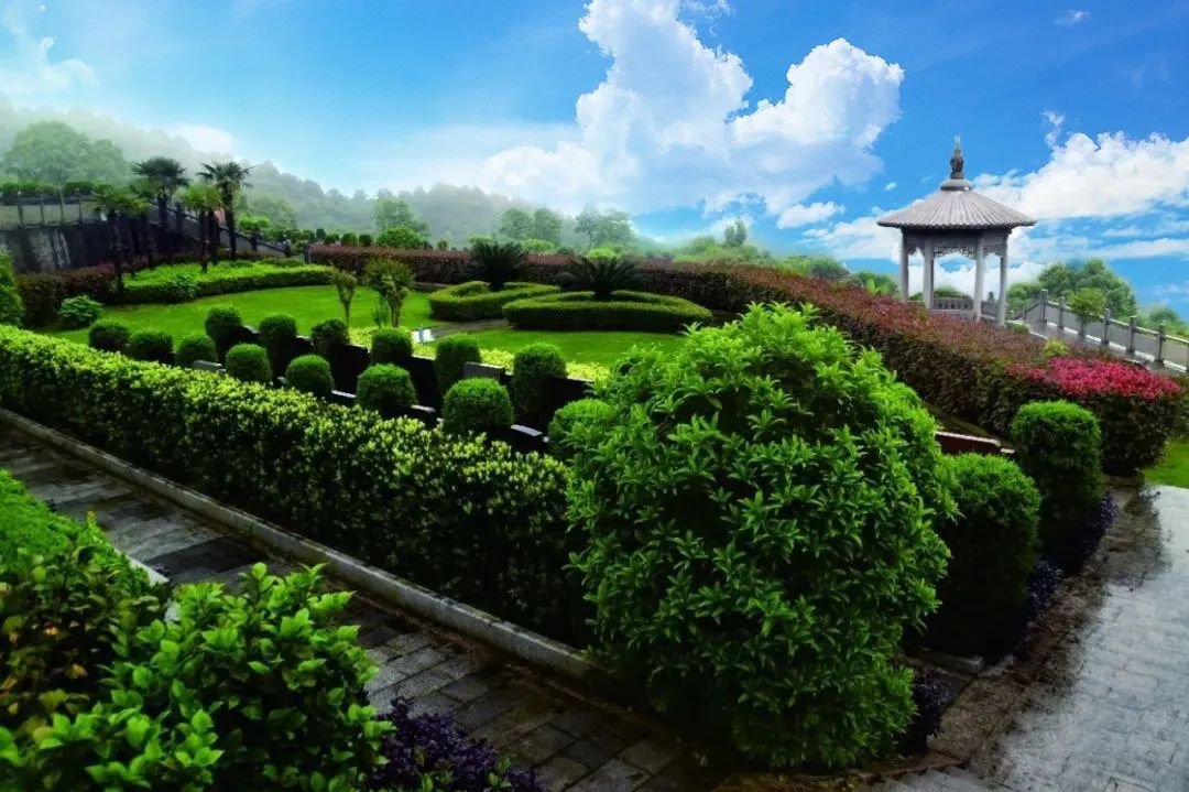 抖圈-为du而生官网入口