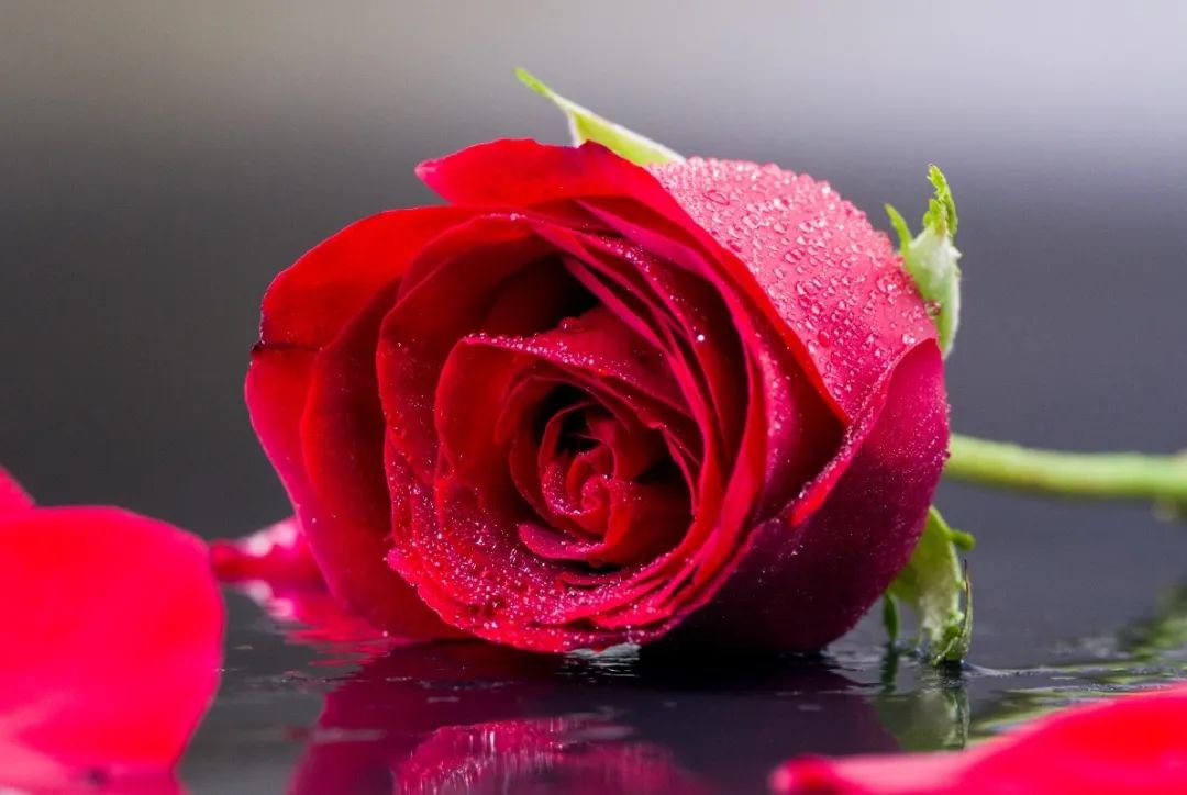 女神节 | 致敬“她”实力，共筑优美未来