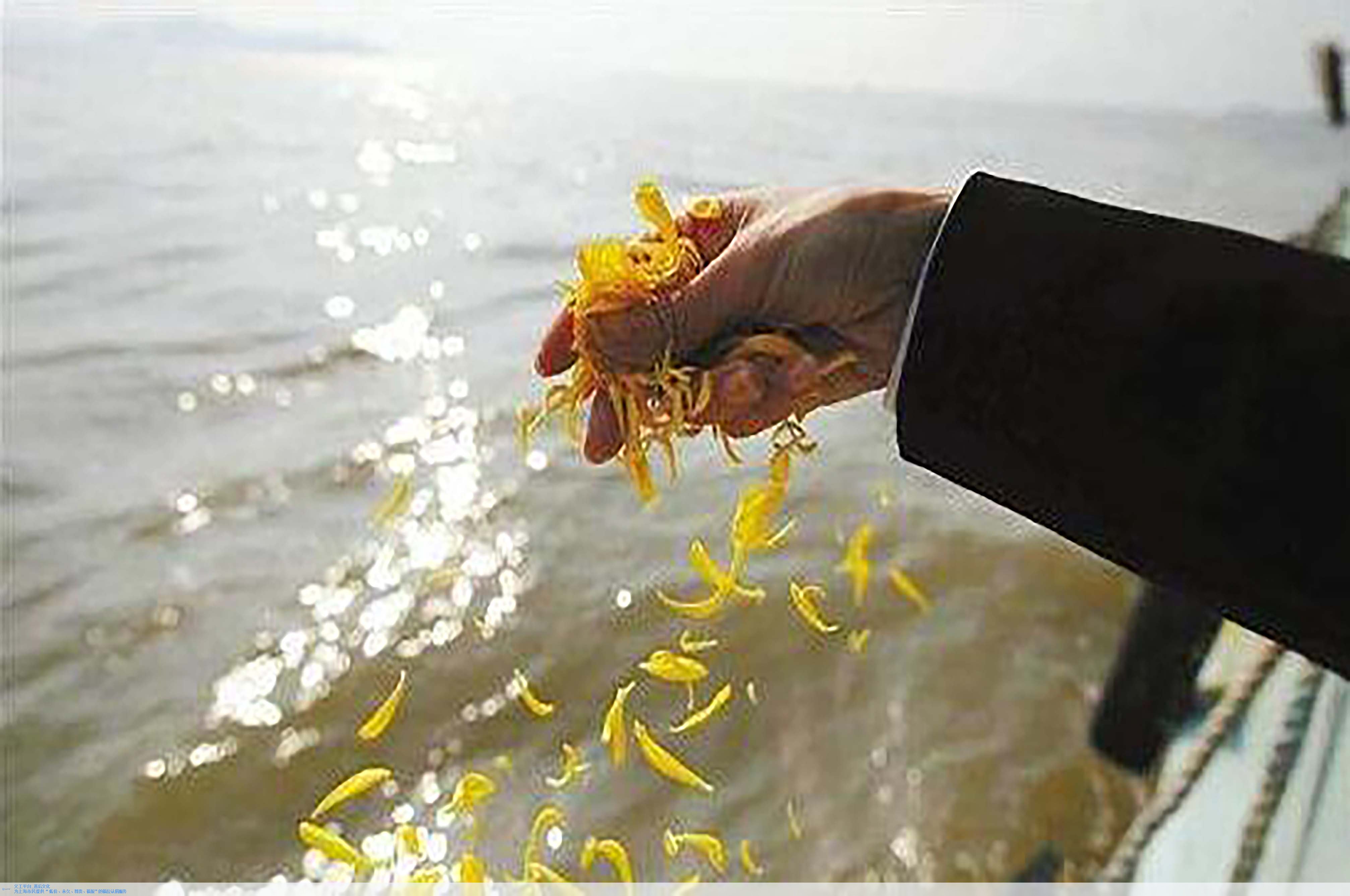 抖圈-为du而生官网入口