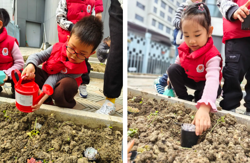 抖圈-为du而生官网入口