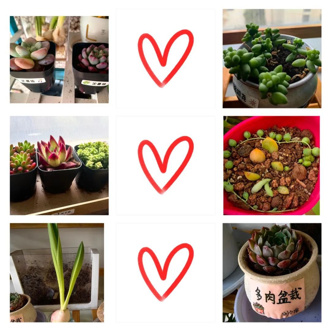 抖圈-为du而生官网入口